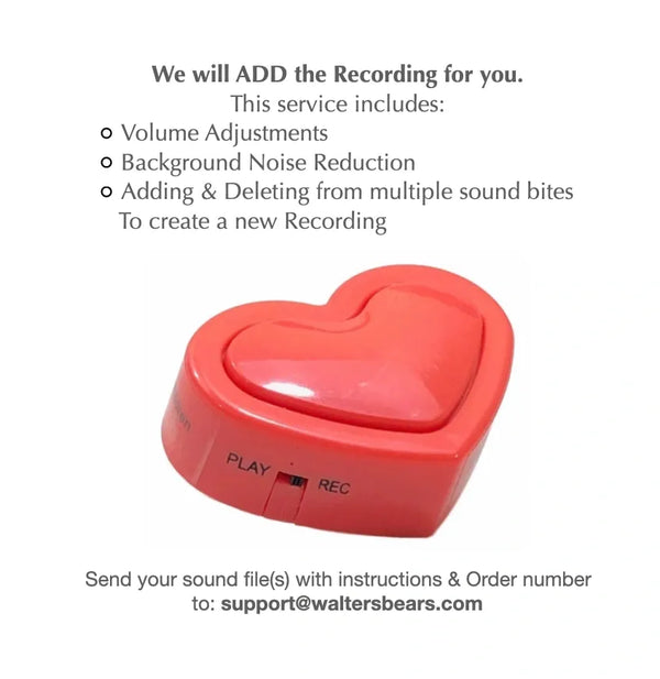 30 second voice recorder