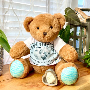 teddy bear urn for human ashes with custom t-shirt