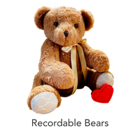 bear with voice recorder