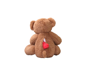 recordable teddy bear